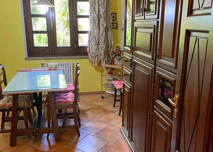 Scholl * 穆拉沃拉